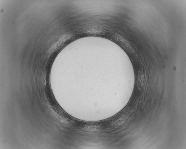 X0000088890734200706291439