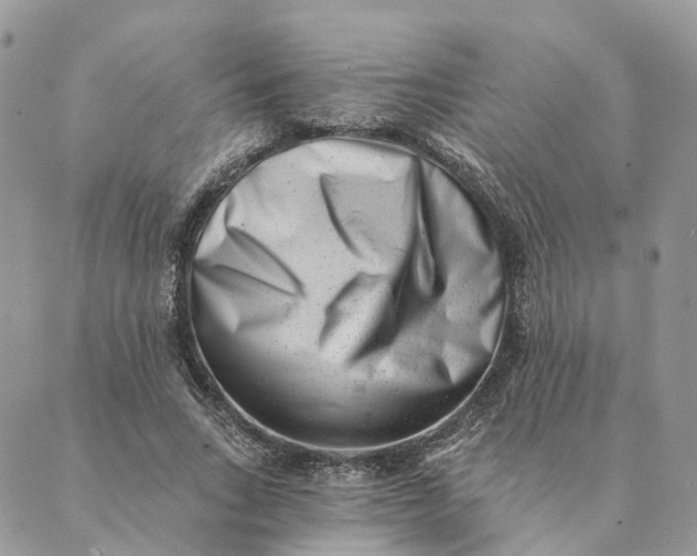 X0000088890735200706291439