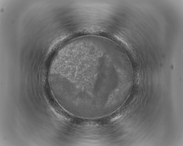 X0000088890736200706291439