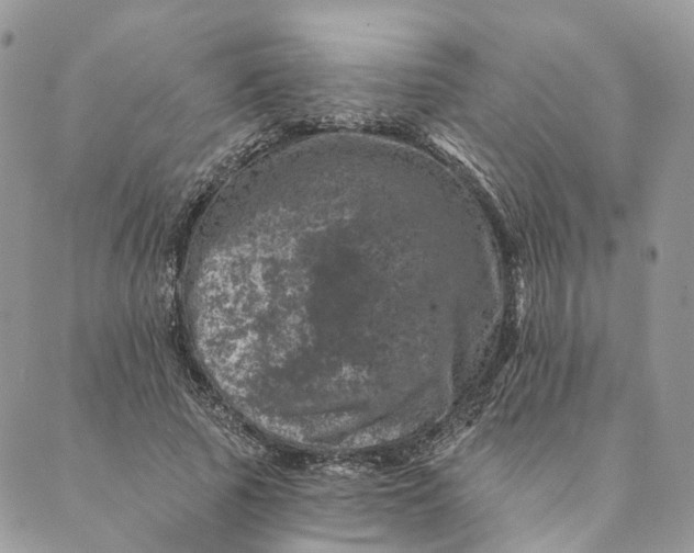 X0000088890737200706291439