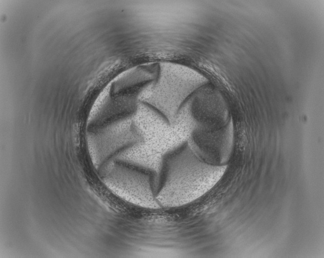 X0000088890738200706291439