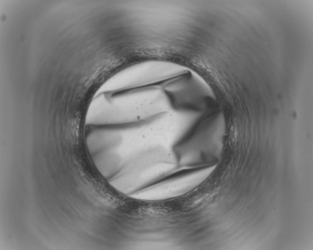 X0000088890739200706291439