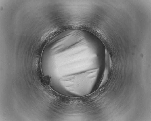 X0000088890740200706291439