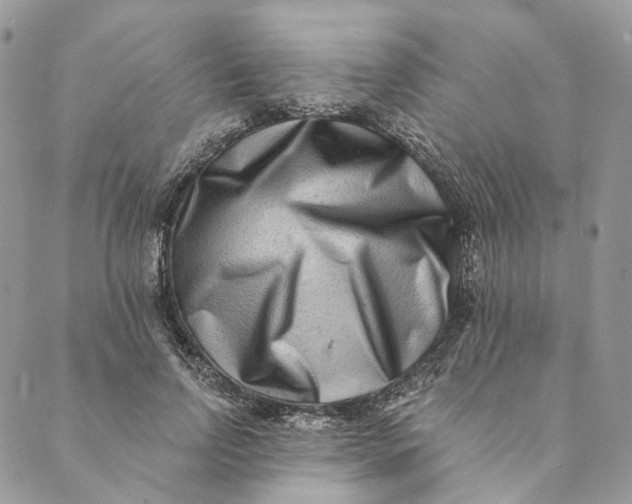 X0000088890742200706291439