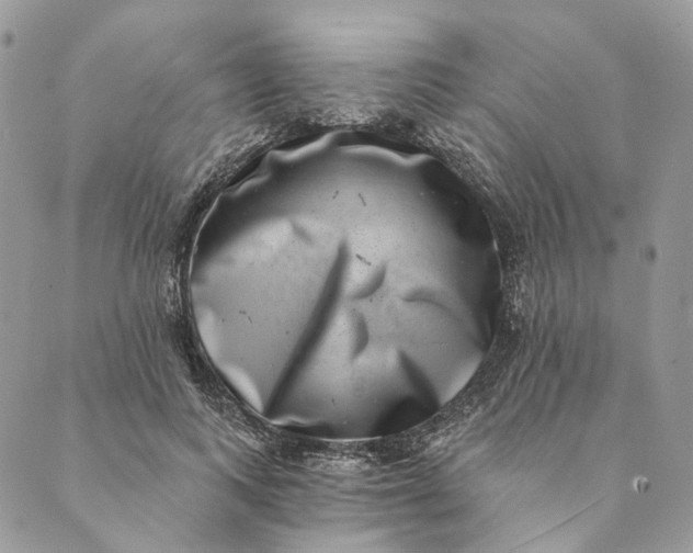 X0000088890743200706291439