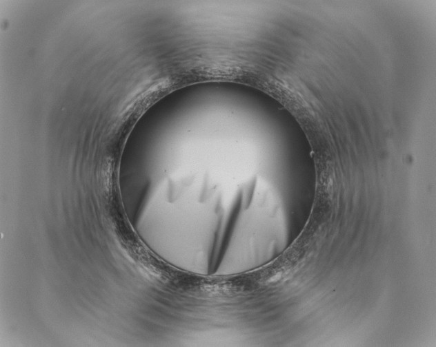 X0000088890744200706291439