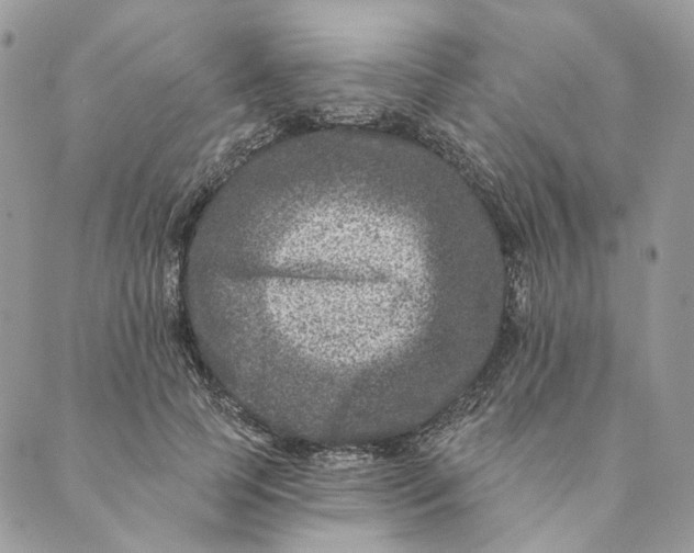 X0000088890745200706291439