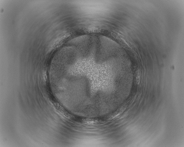 X0000088890746200706291439