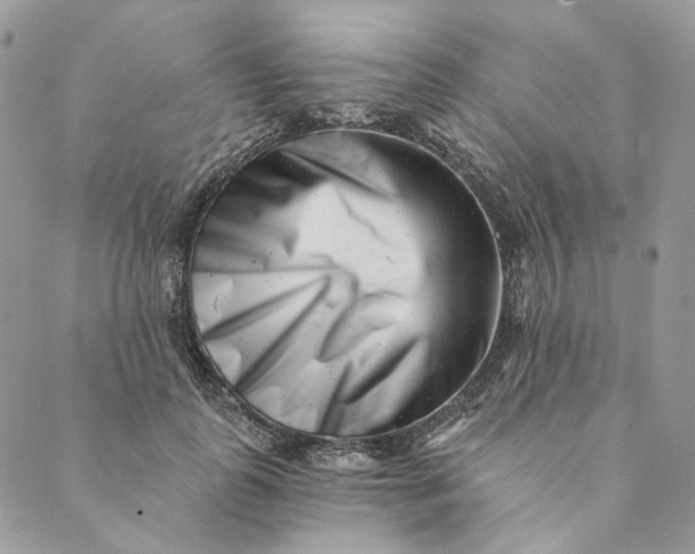 X0000088890747200706291439