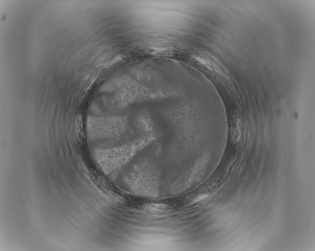 X0000088890748200706291439