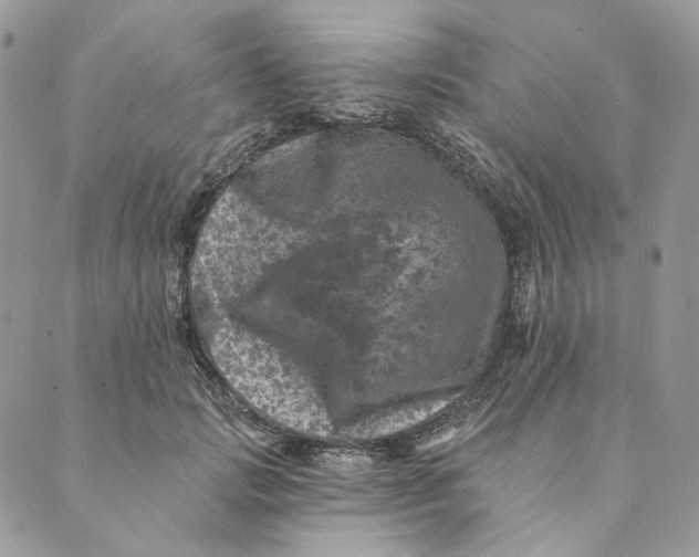 X0000088890749200706291439