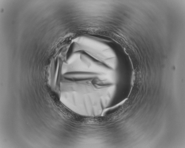 X0000088890750200706291439