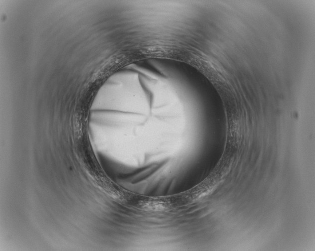 X0000088890751200706291439