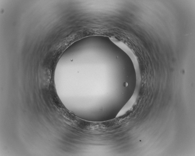 X0000088890752200706291439