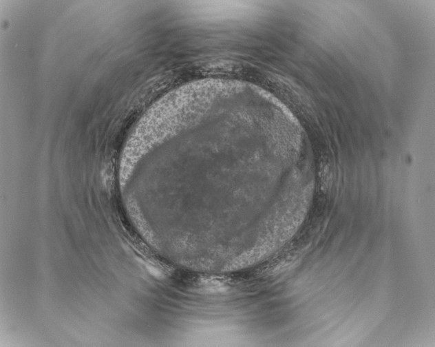 X0000088890753200706291439