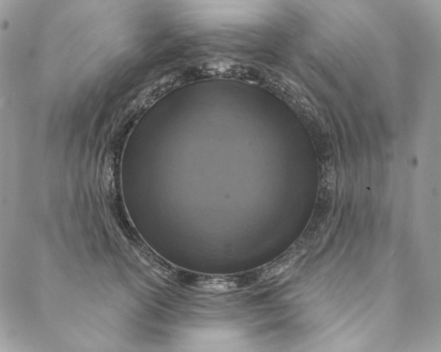 X0000088890754200706291439