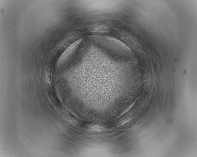 X0000088890755200706291439