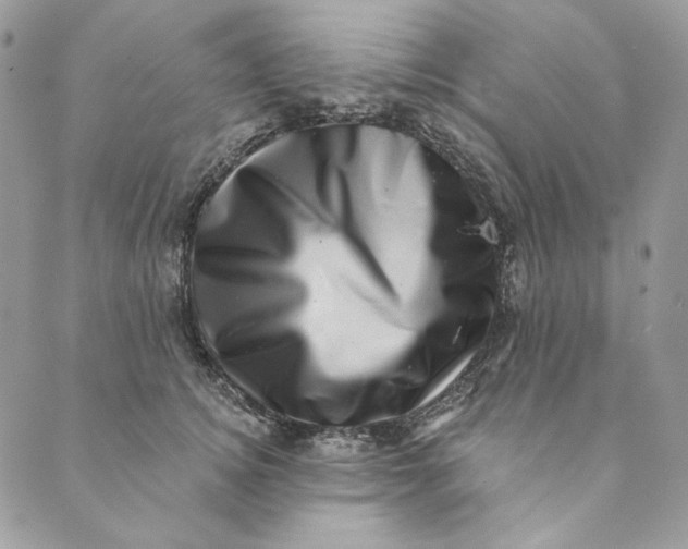 X0000088890756200706291439