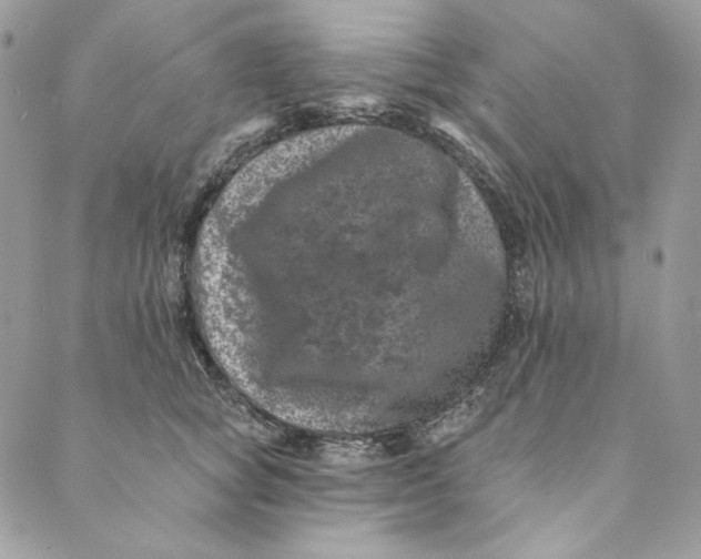 X0000088890757200706291439