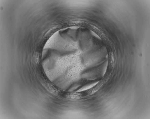 X0000088890758200706291439