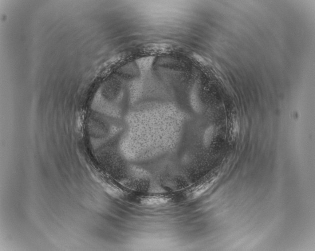 X0000088890759200706291439