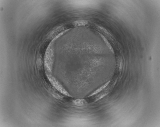 X0000088890761200706291439