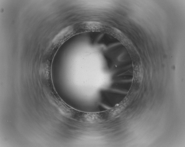 X0000088890762200706291439