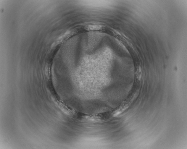 X0000088890763200706291439