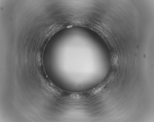 X0000088890764200706291439