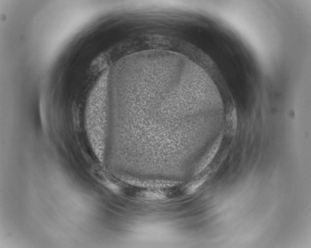 X0000088890765200706291440