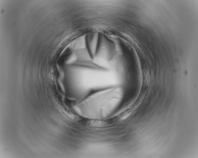 X0000088890766200706291440