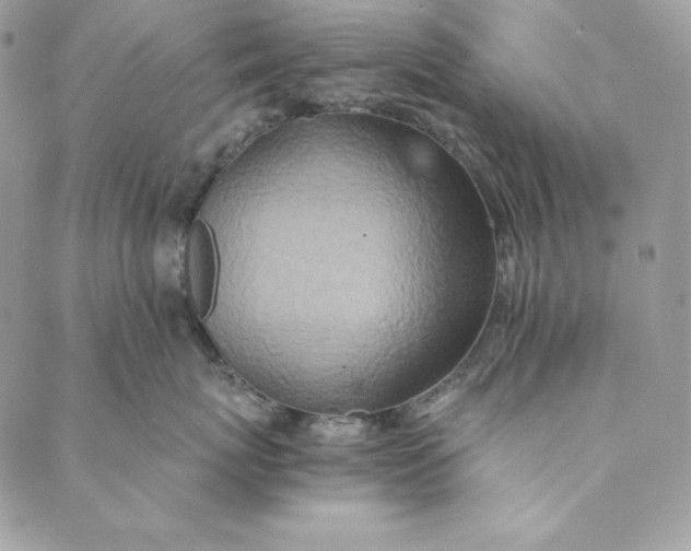 X0000088890767200706291440