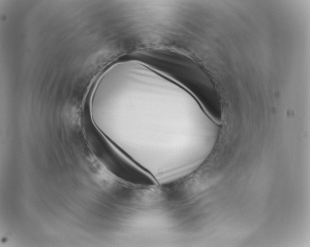 X0000088890768200706291440