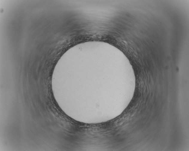 X0000088890769200706291439