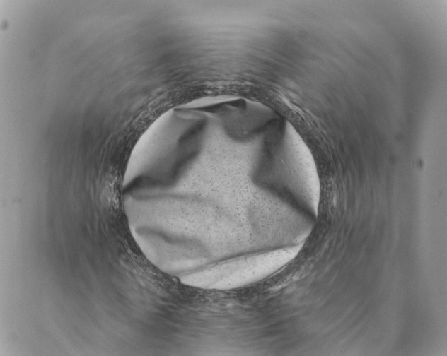 X0000088890770200706291439