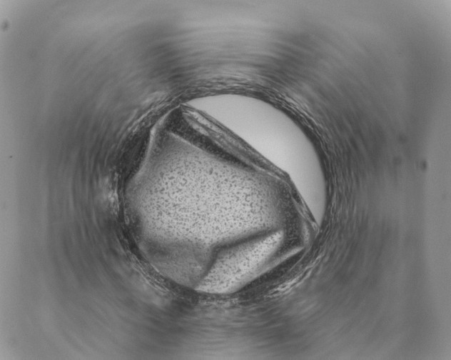 X0000088890771200706291439