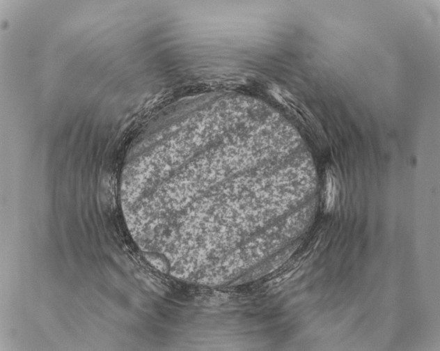 X0000088890772200706291439