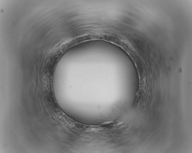 X0000088890773200706291439