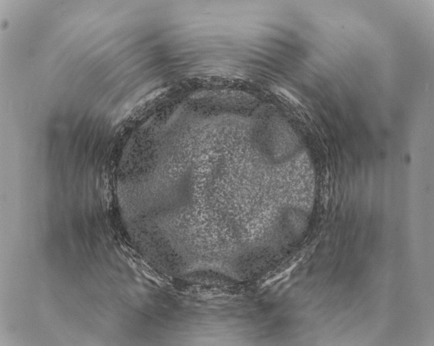 X0000088890774200706291439