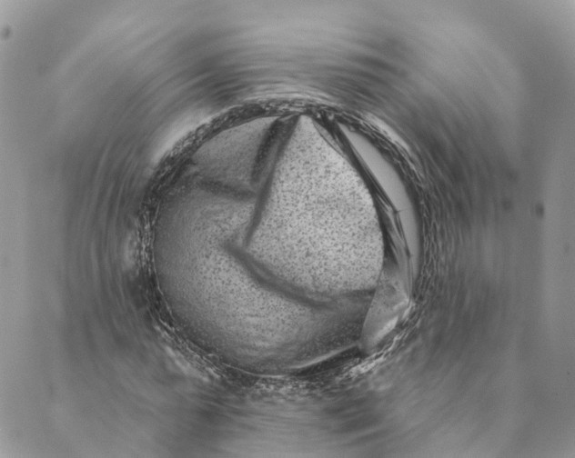 X0000088890775200706291439