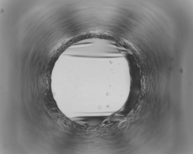 X0000088890776200706291439