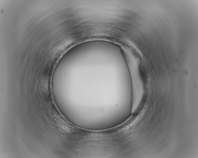 X0000088890777200706291439