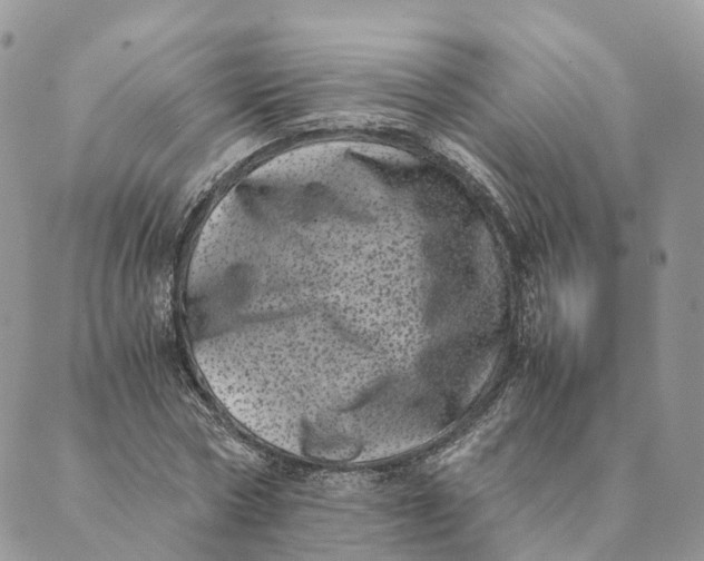 X0000088890778200706291439