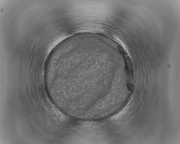 X0000088890779200706291439