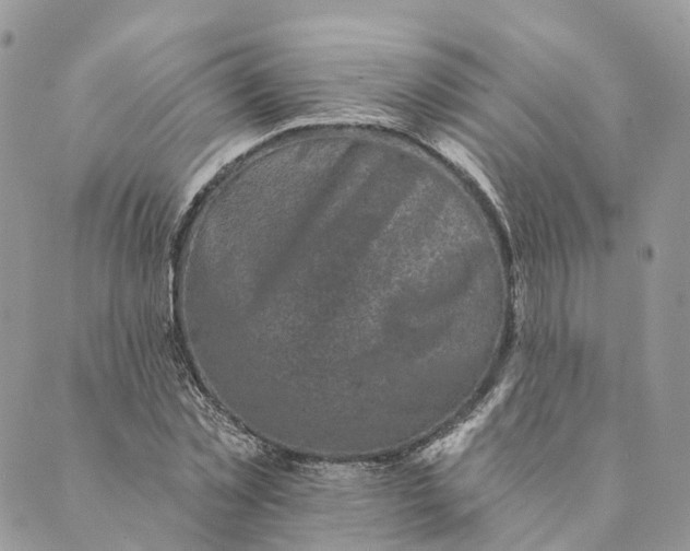 X0000088890781200706291439