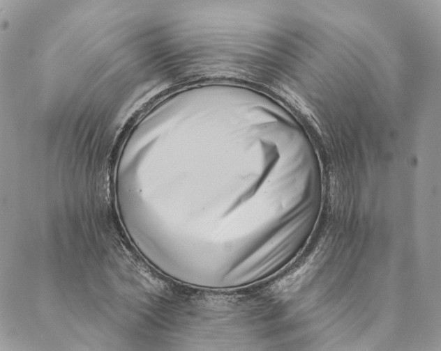 X0000088890782200706291439