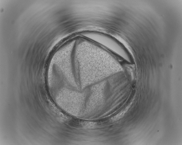 X0000088890783200706291439