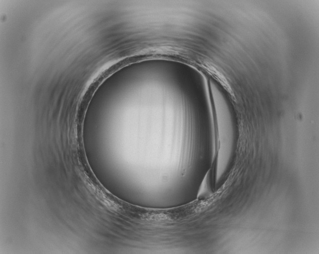 X0000088890784200706291439