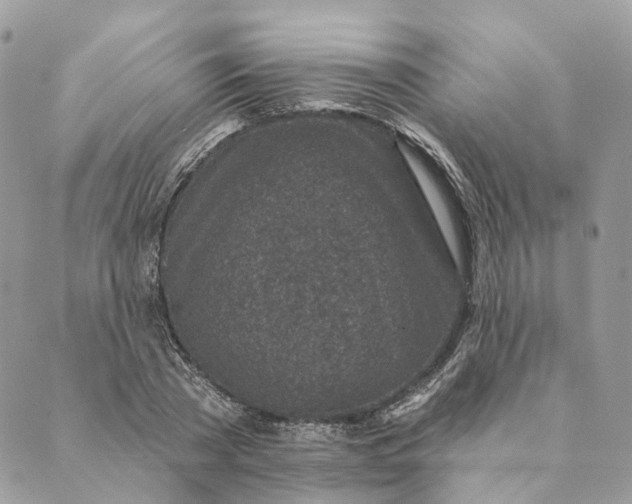 X0000088890785200706291439