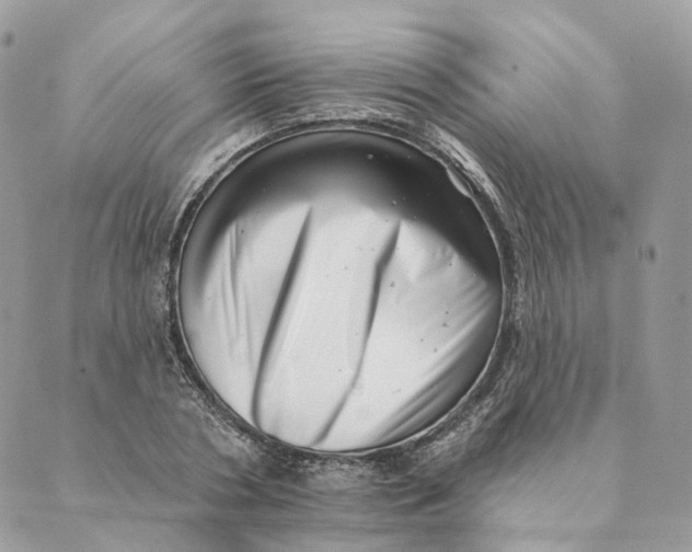 X0000088890786200706291439